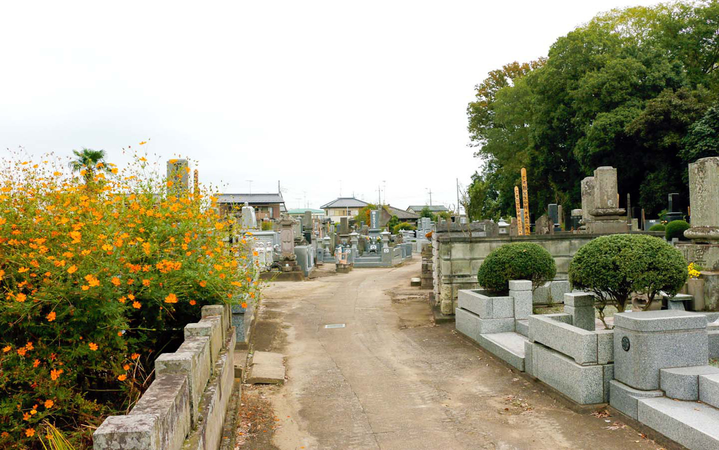 興正寺の墓地